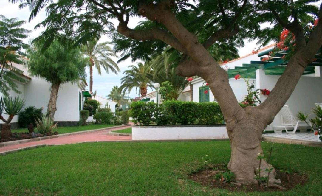 Maspalomas Dunas Golf Ngoại thất bức ảnh